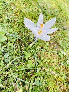 IMG_3512.jpeg