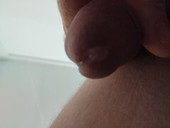 IMG_20250403_174729031.jpg
