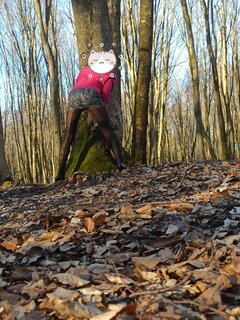 IMG_20250403_191954.jpg