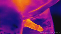 PARD_20250403_205819.JPG
