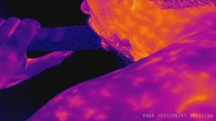 PARD_20250403_205154.JPG