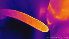 PARD_20250403_205824.JPG