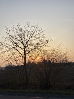 IMG_3625.jpeg