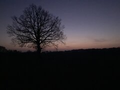 IMG_3612.jpeg