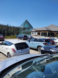 IMG_20250403_132140498.jpg