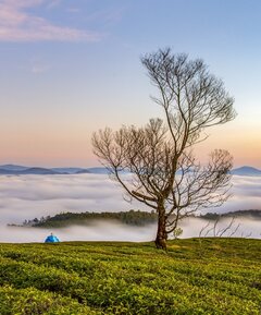 IMG_20250404_154737.jpg