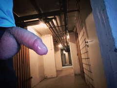 InShot_20250404_194804680.jpg