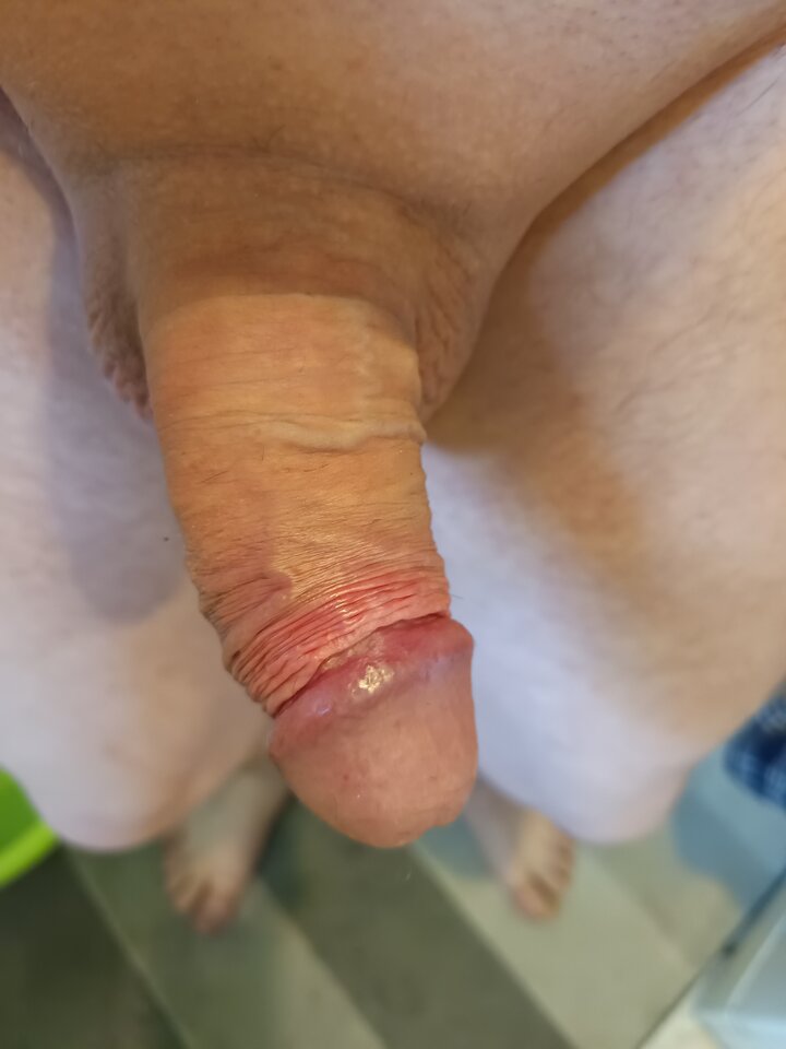 1000003743.jpg - Normalnygosc13