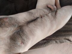 df3d6935bb9d072a956d4c558a658d7f.jpg