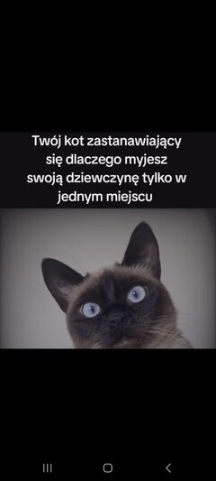Poznam Teojego kota😹🙀