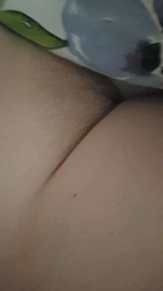20250408_073918.jpg - kubotar