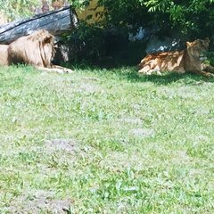 IMG_20220617_105017.jpg