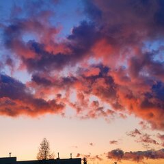 IMG_20250407_192604.jpg