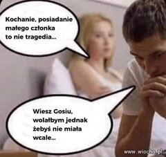 XD