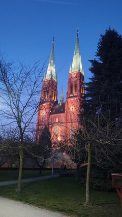 IMG20250412200033.jpg