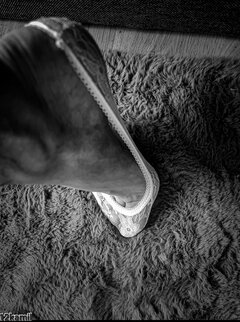 20250413_111009.jpg