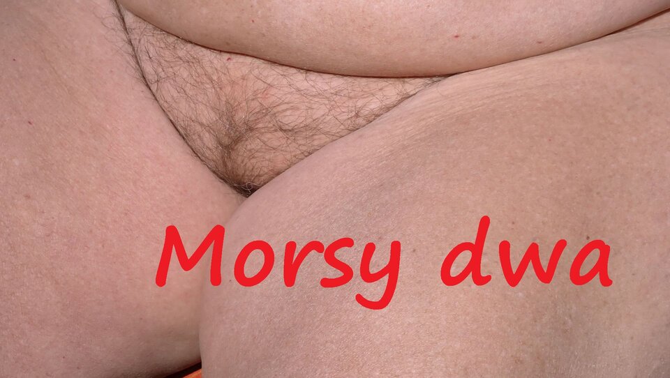 Chwilka przerwy na słoneczną pieszczotę. - Morsy_dwa