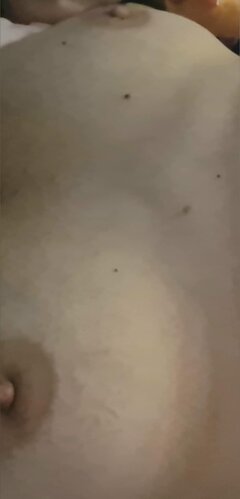 20250414_070024.jpeg