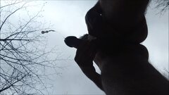 GÓRNIKI - walenie konia w lesie 20250415_1503.mp4_snapshot_01.1