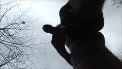 GÓRNIKI - walenie konia w lesie 20250415_1503.mp4_snapshot_01.2