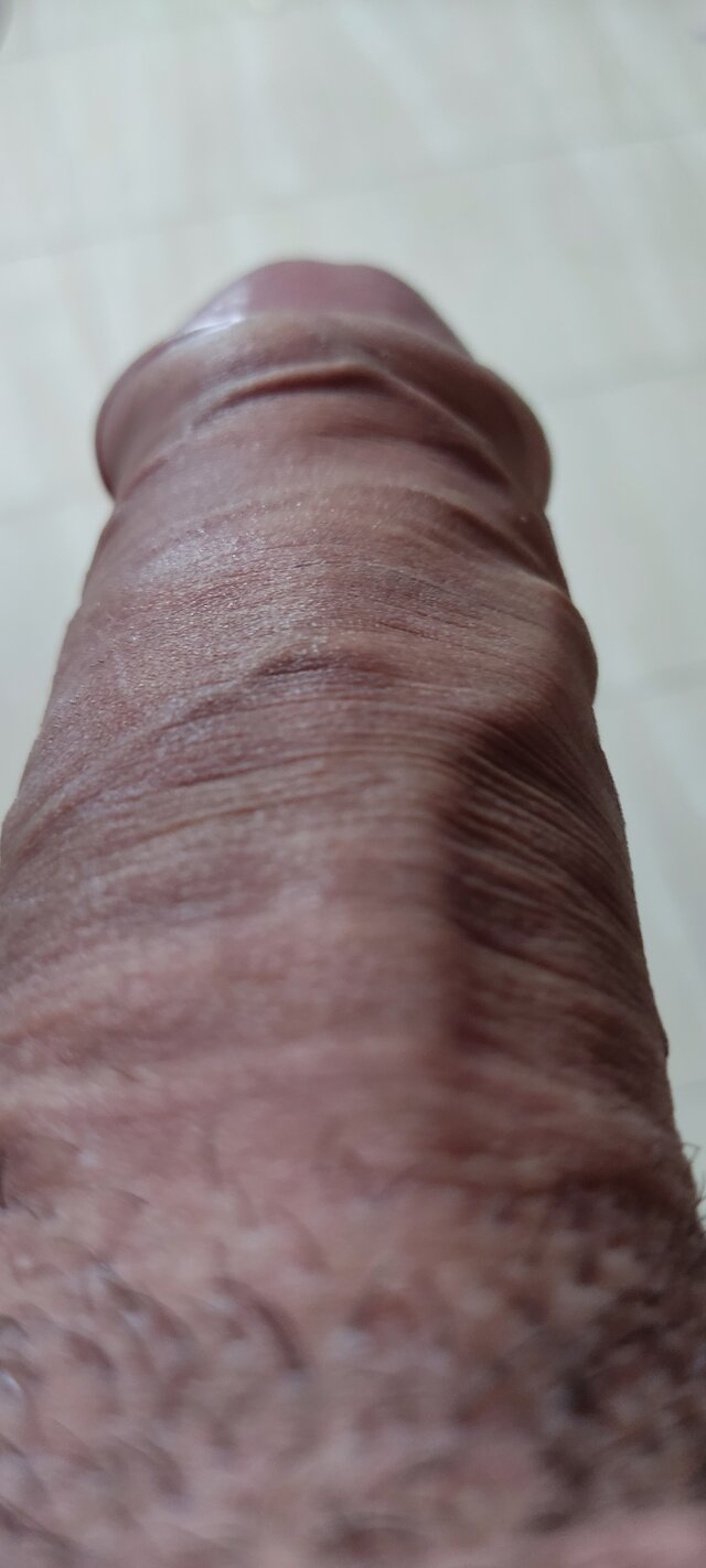 VPlemur