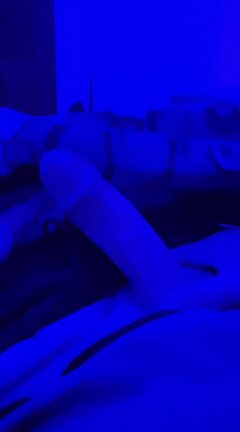 IMG_1382.jpeg