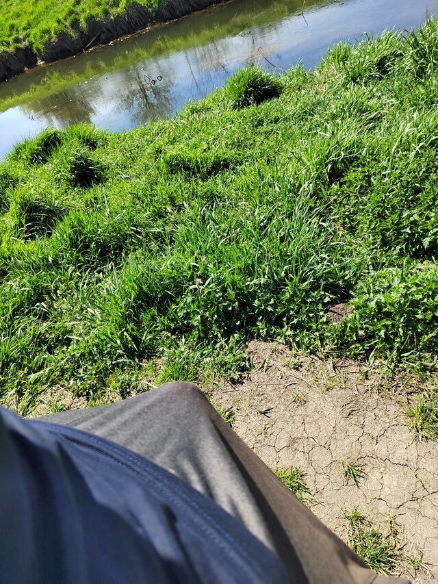 GrzesznyZbok89