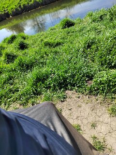 IMG_20250416_141312.jpg