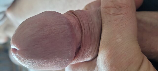 mms6979