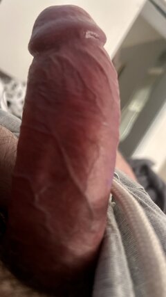 IMG_3701.jpeg