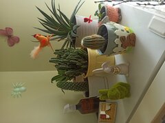 IMG_20250419_112206.jpg