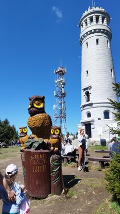 IMG_20250420_131411.jpg