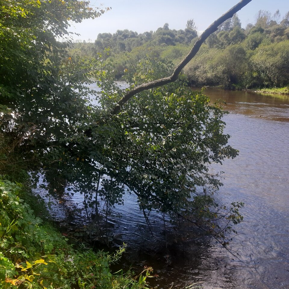 20230921_115640.jpg - Ali70plus