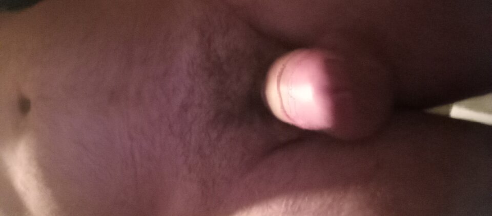 1000001730.jpg - Ralf466
