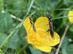 IMG_0053.jpeg