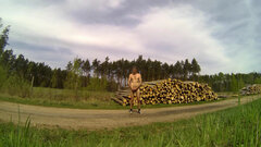 20250421_120726A.mp4_snapshot_00.59.733.jpg