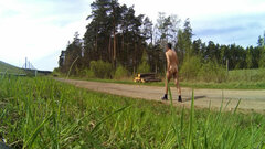 20250421_120726A.mp4_snapshot_01.49.560.jpg
