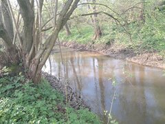 20250421_172957[1].jpg