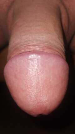 IMG-20250421-WA0022.jpeg