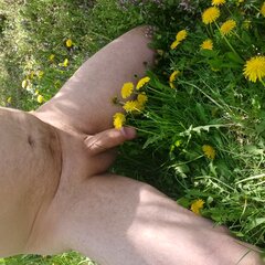 20250421_125152.jpg