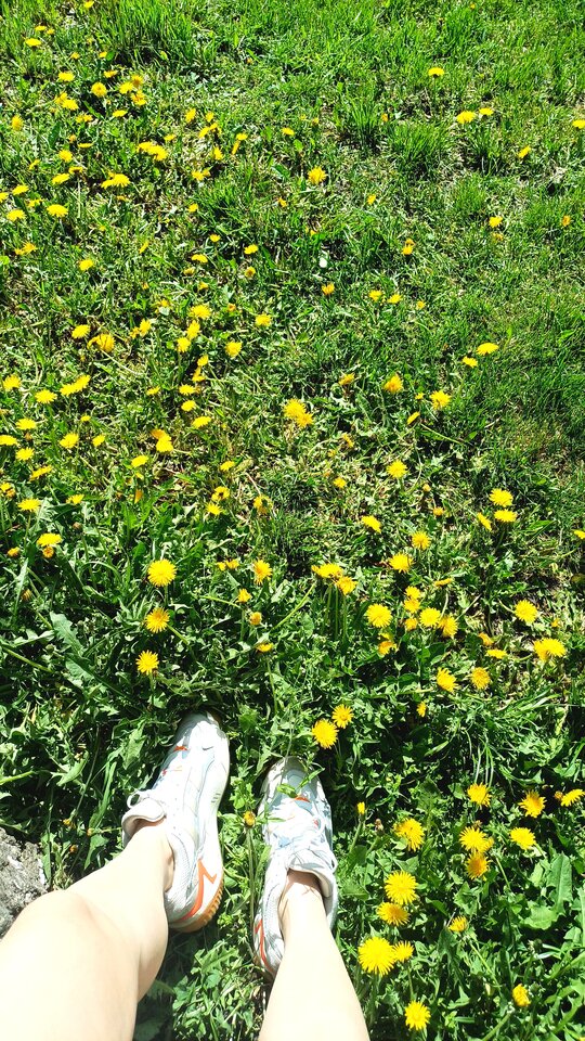 1000062683.jpg - BlissEnigma