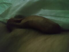 IMG_20250424_071457.jpg