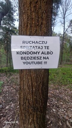 IMG_6186.jpeg