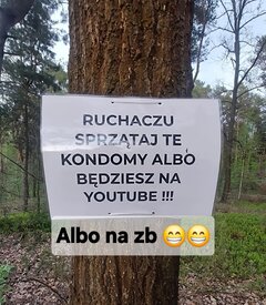 1000007947.jpg