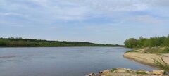 IMG_20250424_164121.jpg