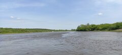 IMG_20250424_121907.jpg