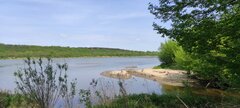IMG_20250424_123313.jpg