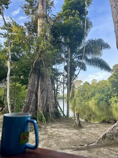 Paradise