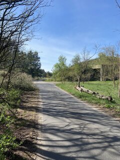 IMG_4392.jpeg