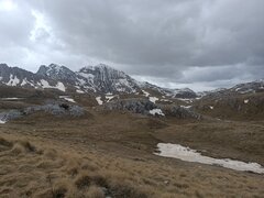 IMG_20250417_135857.jpg